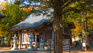 忍野八海浅間神社